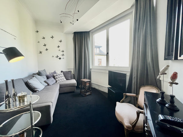 Guess what ? <br />It's in the most central spot in Brussels. <br />Cosy 1 bedro Paris, France Black & White - 1 BR - Most Central Entire rental unit vacation rental 604934418362463423