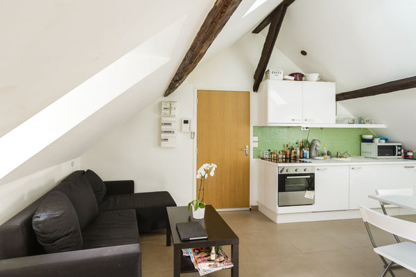 Charmant appartement avec poutres apparentes situé à proximité des grands boulev Montreal, Canada Nid douillet au centre de Paris ! Entire rental unit vacation rental 4321198