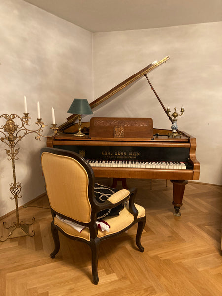 Elegante Unterkunft mit eigenem Stil. Ein Salonflügel und Musikinstrumente ziere Vienna, Austria Exklusive Luxuslage im Nobelbezirk Private room in rental unit vacation rental 690479606058066603