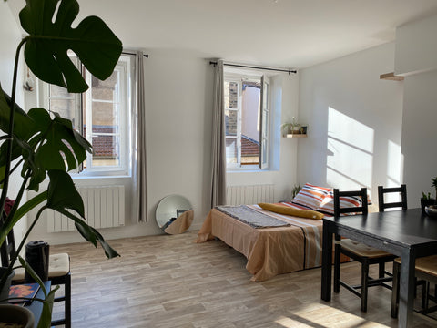 **Not shared **If you see availabilities on this ad,  it means that I won’t be i Lyon, France Superbe Entire Studio in Vieux Lyon! Shared room in hostel vacation rental 635525962724378807