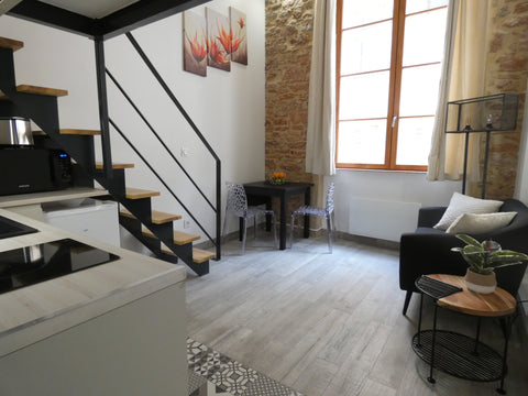 Apartment allying the former(old) and the modernism of the restoration situated  Lyon, France flat in an old building Entire rental unit vacation rental 6209693
