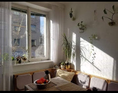 La stanza è molto luminosa e spaziosa, metto a disposizione per gli ospiti anche Vienna, Austria Appartamento condiviso Private room in rental unit vacation rental 35342554