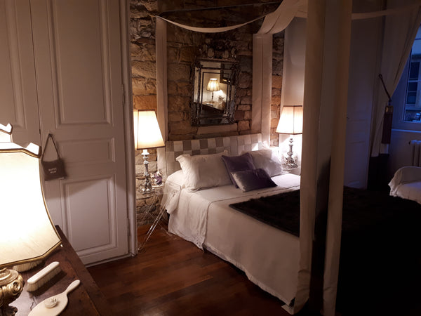 Marie-France et Jean-David seront heureux de vous accueillir dans un appartement  Suite parentale - Vieux Lyon Private room in rental unit vacation rental 30338988