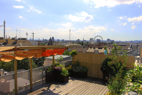 A beautiful 88m2 rooftop apartment, 4 rooms, 1 balcony and 1 huge roof terrace w Vienna, Austria Spacious rooftop apartment with amazing view Entire rental unit vacation rental 36374033