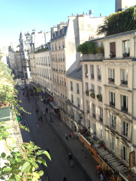 Large apartment in the heart of Paris, enjoy the Parisian ambience of the rue Mo Paris, France Great room with private bathroom Private room in rental unit vacation rental 15197809