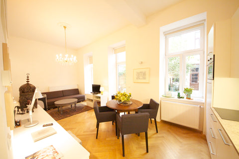 Luxury apartment with sunny terrace in historic building, close to city centre,  Vienna, Austria Luxury Studio with Terrace - Levade Entire rental unit vacation rental 865491