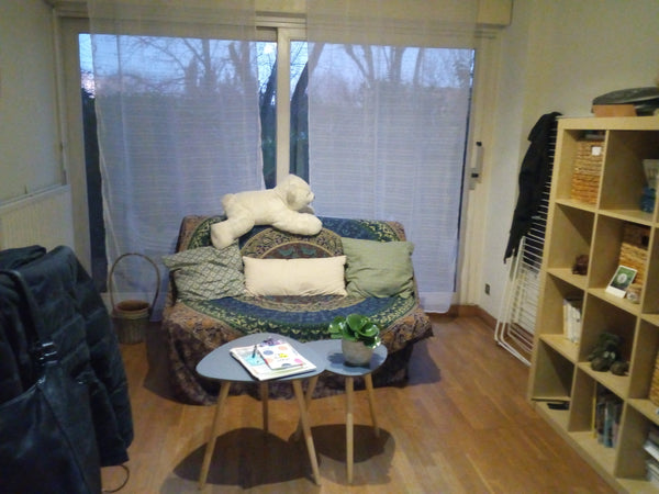 Je mets à disposition un clic-clac dans mon salon uniquement pour des femmes.<br Lyon, France Chambre partagée (femme) à Fourvière Shared room in condo vacation rental 9056074