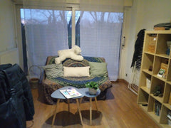 Je mets à disposition un clic-clac dans mon salon uniquement pour des femmes.<br Lyon, France Chambre partagée (femme) à Fourvière Shared room in condo vacation rental 9056074