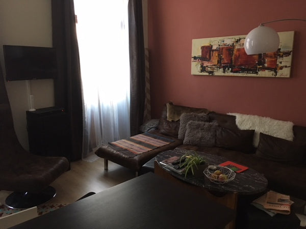 Voir la vie en rose.... with this fabulous modern yet cozy flat in the center of Brussels, Belgium Charming flat in quaint Ixelles Entire rental unit vacation rental 27533036