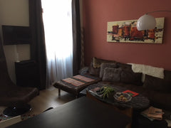 Voir la vie en rose.... with this fabulous modern yet cozy flat in the center of Brussels, Belgium Charming flat in quaint Ixelles Entire rental unit vacation rental 27533036