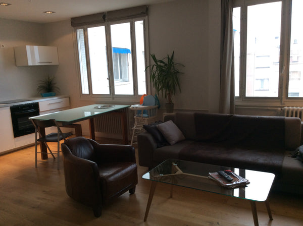 A l occasion de la fête des lumières à Lyon je loue mon appartement situé en ple  Appartement T4 Lyon 6e Massena Entire rental unit vacation rental 9408202