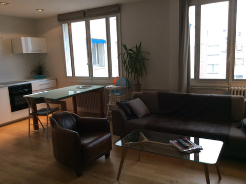 A l occasion de la fête des lumières à Lyon je loue mon appartement situé en ple  Appartement T4 Lyon 6e Massena Entire rental unit vacation rental 9408202