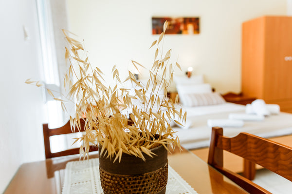 A bright lovely small apartment for 2 persons fully equipt for your holiday need Kalyves, Greece Economy apartment with swimming pool Private room vacation rental 34635780