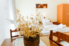 A bright lovely small apartment for 2 persons fully equipt for your holiday need Kalyves, Greece Economy apartment with swimming pool Private room vacation rental 34635780