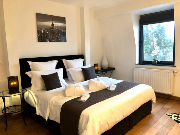 Belle villa situé au calme de la périphérie Bruxelloise à 900€ dé L’Atomium et d Wemmel, Belgium Luxury Villa with presidential bedroom Private room in villa vacation rental 42553735