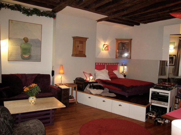 Ce logement se trouve au premier étage d'un immeuble historique avec une jolie v Paris, France « Charlotte’s Nest «  Mon grand nid à Bastille :-) Entire rental unit vacation rental 11273053
