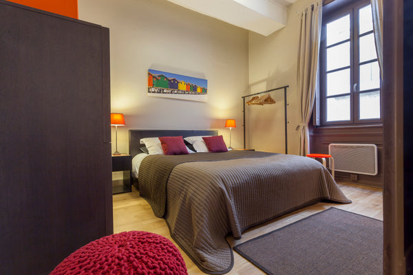 Situé en plein centre ville de Lyon à 200 m de la place Bellecour,  quais du Rhô  Appartement proche Bellecour  Hotel Dieu Entire rental unit vacation rental 29736722
