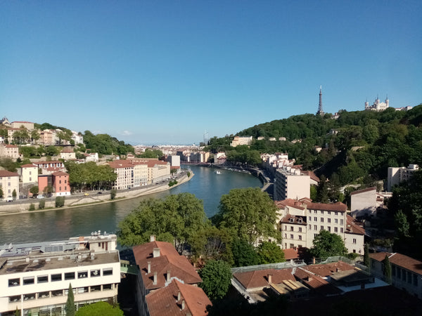 Superbe appartement situé en bord de Saône et accroché aux arbres du rocher de F Lyon, France Au ❤️ de Lyon : vue, verdure🌳 et  bords de Saône Entire rental unit vacation rental 47152734