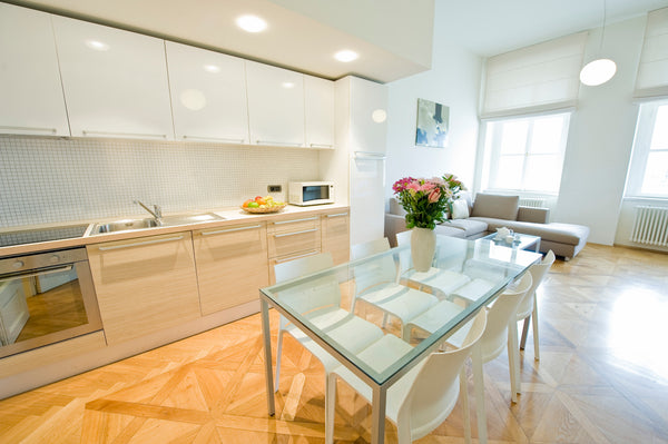 Astonishing view of Charles Bridge & Prague Castle from this 1-bedroom apartment Prague, Czechia Charles Bridge Wiew Old Town 1 BR Apartment Entire rental unit vacation rental 182772