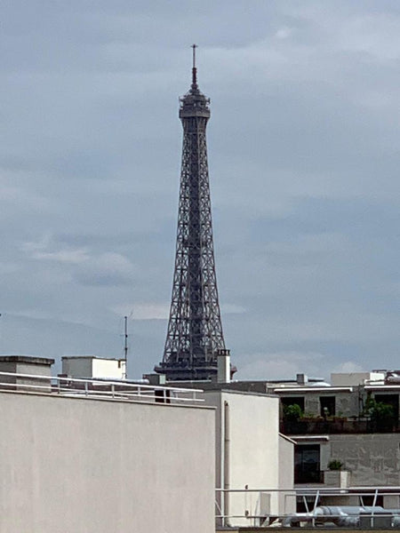 Grand 2 pieces vue tour eiffel. 5 min a pieds du parc des expositions porte de V  Luxueux 2p vue T. Eiffel - 5 min parc expo - Entire rental unit vacation rental 20674874