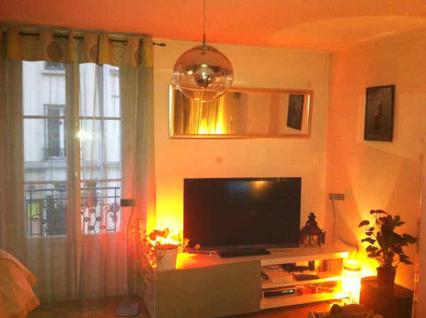 Appartement de 54 M2, situé au métro Commerce ligne 8, proche des plus beaux end  Appartement proche Tour Eiffel Entire rental unit vacation rental 4763755