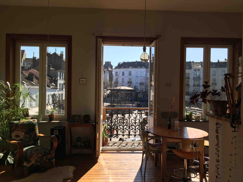 Appartement cozy, charmant et lumineux avec balcon ensoleillé et vues agréables. Brussels, Belgium Cozy, chaleureux et lumineux Entire rental unit vacation rental 44165333