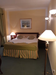 Double room Hotel Florian  Double room Hotel Florian Praha Room in hotel vacation rental 36910772