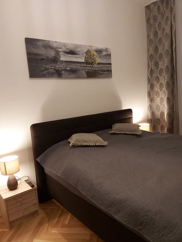   Angelika Apartments Entire rental unit vacation rental 41073563