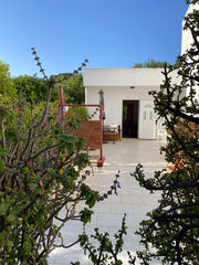 <b>License number</b><br />1222808  Mediterranean Garden Entire guesthouse vacation rental 50083989