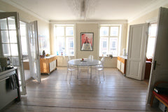  Copenhagen, Denmark Large  nordic style flat in historic CPH -Nyhavn Entire rental unit vacation rental 21995694