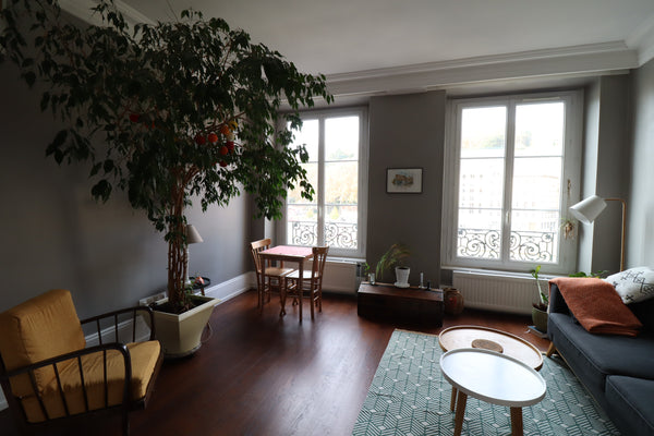 Appartement d'une chambre (avec canapé lit dans le salon pouvant servir de 2ème  Lyon, France Charming appartment overlooking la Saône! Entire condo vacation rental 53178199