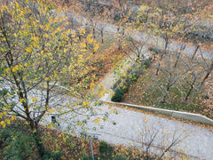 Appartement récent, sécurisé,  45 m2,  en étage, lumineux,  grande loggia, calme Paris, France 75017 Nouveau quartier Martin Luther King. Entire rental unit vacation rental 28705622