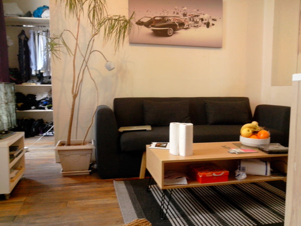 Hello!<br />Je partage mon appartement, situé à 2 pas de la Gare de Lyon, et à 7 Lyon, France Charmant appartement parisien ultra-central Shared room in rental unit vacation rental 23894780