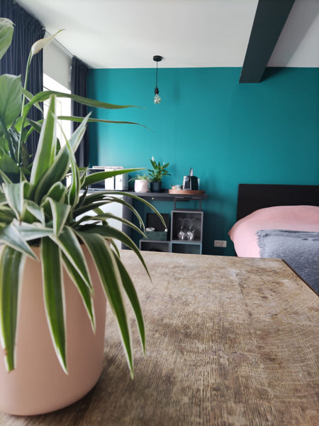 In het oude centrum van Gent, in een rustig zijstraatje vlakbij de Korenmarkt en  Kamer Angèle Private room in rental unit vacation rental 584489865773900177