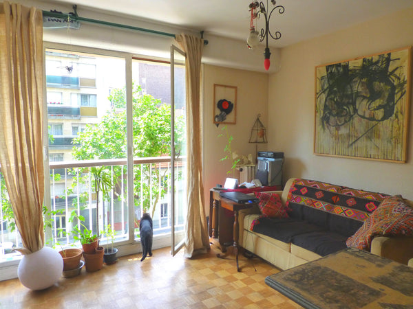 10 minutes by feet from Sacré-Coeur, 5to metro <br />Nice luminous flat (south e Paris, France Nice flat close to Montmartre ! Entire rental unit vacation rental 3407942