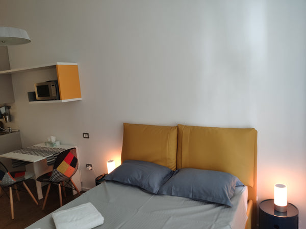 Well-equipped, newly renovated studio apartment in an Art Nouveau historical bui Prague, Czechia Newly renovated studio in Vinohrady Entire rental unit vacation rental 22142345