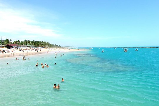 South Coast Frances Beach with Maceió City Tour  Private Tours and Travel Guide America Maceio CITY Maceio Destination Tour