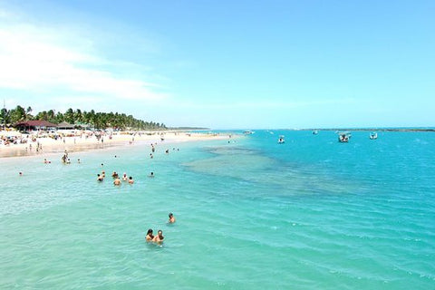 South Coast Frances Beach with Maceió City Tour  Private Tours and Travel Guide America Maceio CITY Maceio Destination Tour America Maceio CITY Maceio