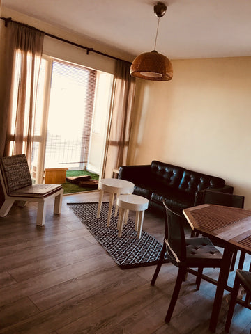 Appartement entièrement rénové et équipé. Dans une résidence arborée et calme. < Talence, France T3 aux portes de Bordeaux Entire condo vacation rental 35963983