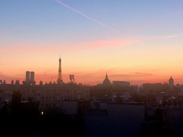 Amazing location for a rooftop apartment with terrasse, in the heart of Saint Ge Paris, France ROOFTOP DUPLEX APT WITH TERRACE, QUARTIER LATIN Entire loft vacation rental 15231210