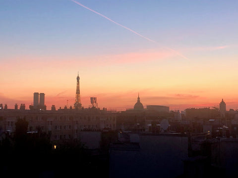 Amazing location for a rooftop apartment with terrasse, in the heart of Saint Ge Paris, France ROOFTOP DUPLEX APT WITH TERRACE, QUARTIER LATIN Entire loft vacation rental 15231210