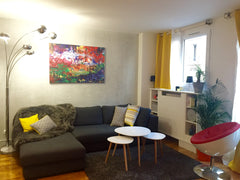 Spacious 60m2, bright and very welcoming! Tastefully furnished, you will enjoy t Orleans, France The One You Want Entire rental unit vacation rental 3196122