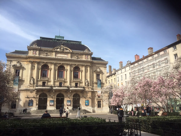 Très bel appartement de 110m2 avec vue imprenable sur la place des Célestins et  Lyon, France Appartement  centre de Lyon 2 arrondissement Entire rental unit vacation rental 33003563