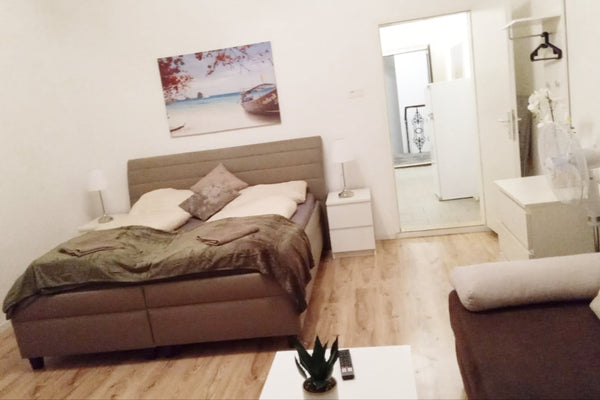 Eine geräumige Zweizimmer Wohnung mit eigener Küche und Bad in der Nähe von Wien  Comfortable 2BR Apt. Near Schloss Schönbrunn Entire rental unit vacation rental 698426659311120019