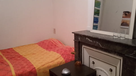 Bonjour<br /><br />Appartement situé à Lyon 6 à proximité de tous commerces (cen Lyon, France LES BROTTEAUX 2 Private room in rental unit vacation rental 11384674