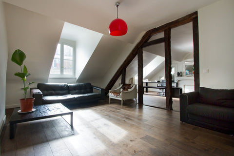 2/3 spacious and comfortable attic rooms in the heart of Paris , near the famous Paris, France Charming Flat in heart of Paris Entire rental unit vacation rental 6159781