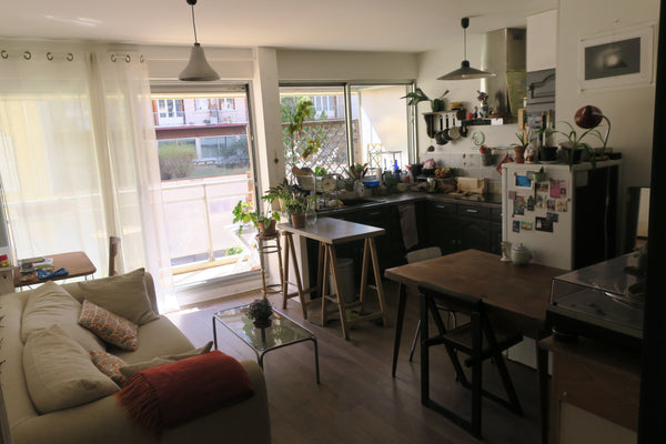 Cosy 50m2 appartement, with well-arranged kitchen/living room, and big sunny bal Paris, France Cosy flat on quiet street next to ButtesChaumont Private room in rental unit vacation rental 23743378