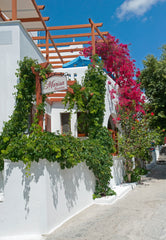 If you desire to live unforgettable holidays in Paros, we are in your entire dis Paros, Greece Holidays in family Marisa's rooms  (Paros island) Room in hotel vacation rental 6216321