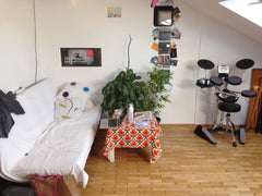 We offer our room in a 3 person shared flat, although just one flat mate might b Vienna, Austria Big cosy room in nice rooftop flat with balcony Private room in rental unit vacation rental 30261588