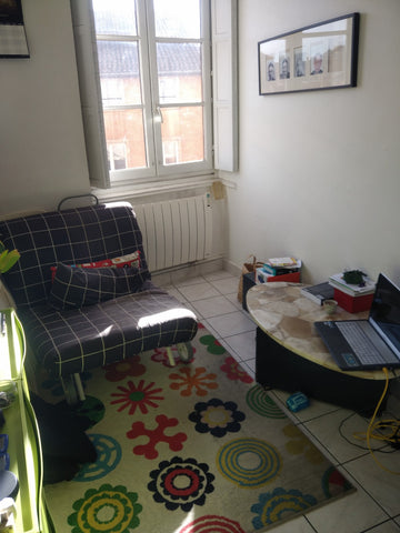 Appartement de deux pièces lumineux et agréable de 30m2 situé au cœur de Lyon, d Lyon, France Bright apartment in the heart of Lyon Entire rental unit vacation rental 30389967